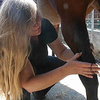 upland horse massage and fitness